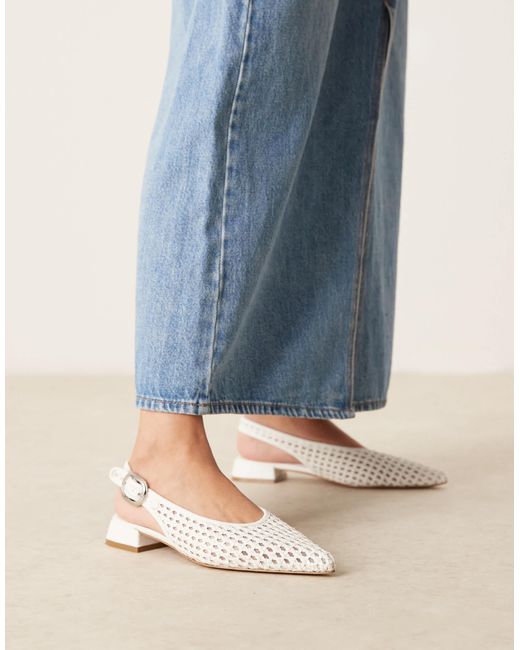 ASOS Blue – leonora – webmuster-ballerinas