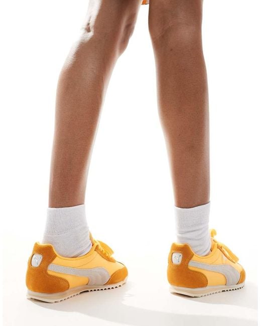 PUMA Brown Arizona Nylon Trainers