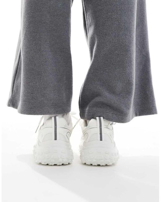 Wolf di SEQWL in Gray