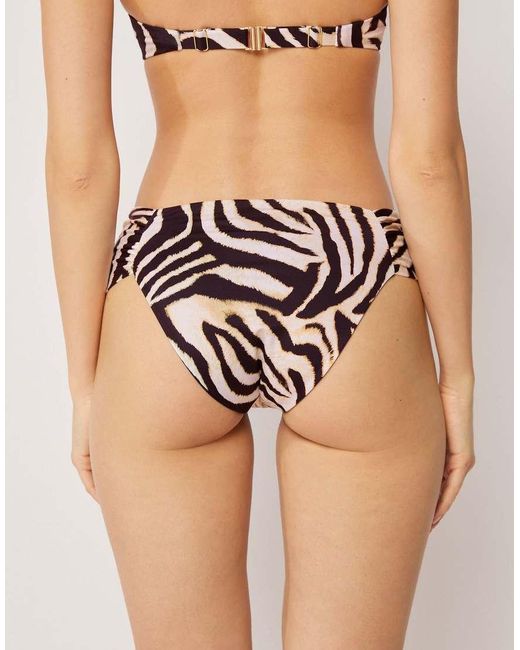 Calzedonia Black Bikini Bottoms Savannah Zebra