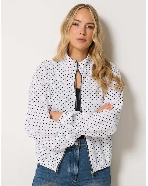 Long Tall Sally Gray Polka Dot Funnel Neck Jacket
