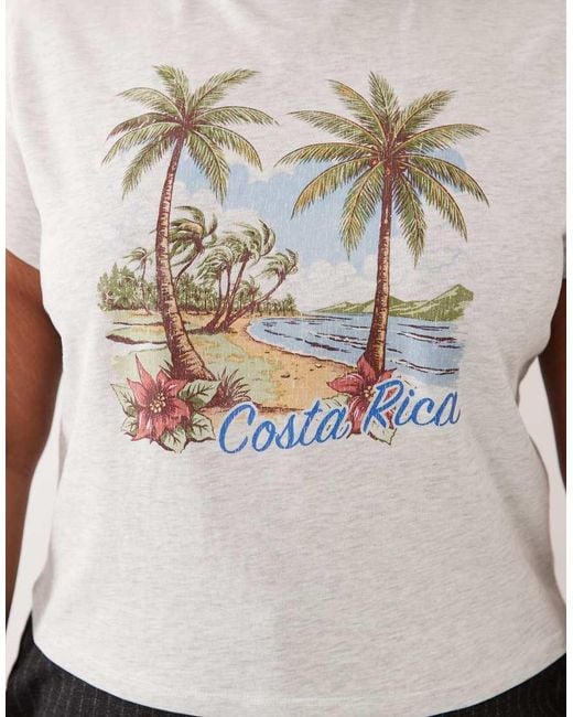 ASOS Black Asos Design Curve Baby Tee With Costa Rica Holiday Graphic