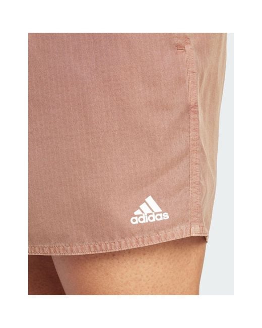 Cix - pantaloncini da bagno marrone slavato di Adidas Originals in Natural da Uomo