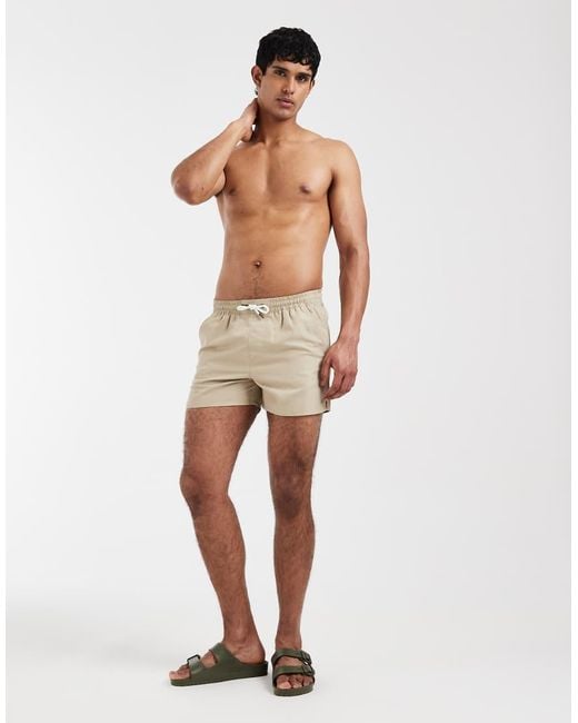 Aray Green Swim Shorts for men