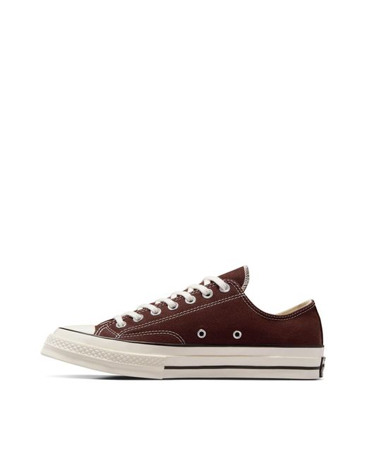 Converse Brown Chuck 70 Ox Sneakers for men
