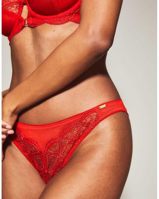 KBX Red Knickerbox Eden Brazilian
