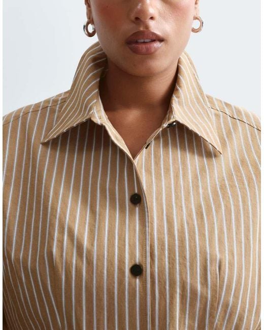 ARRANGE Brown Curve Structured Collared Peplum Shirt With Contrast Buttons