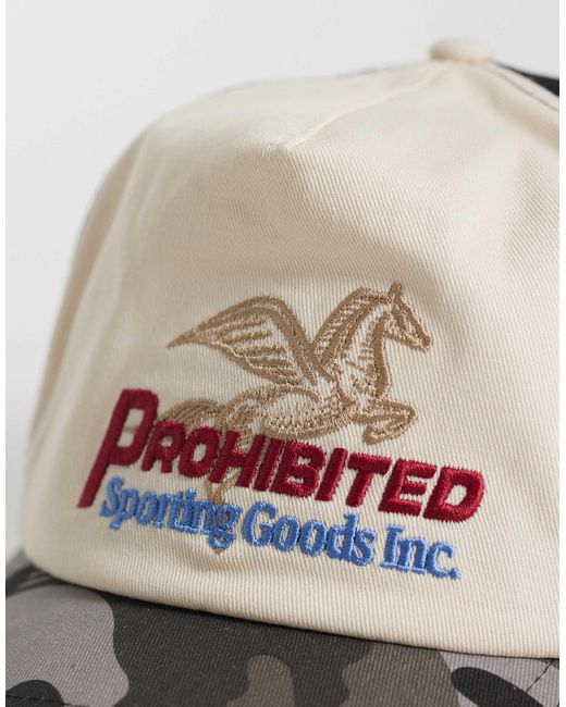 Prohibited Multicolor – pegasus – kappe