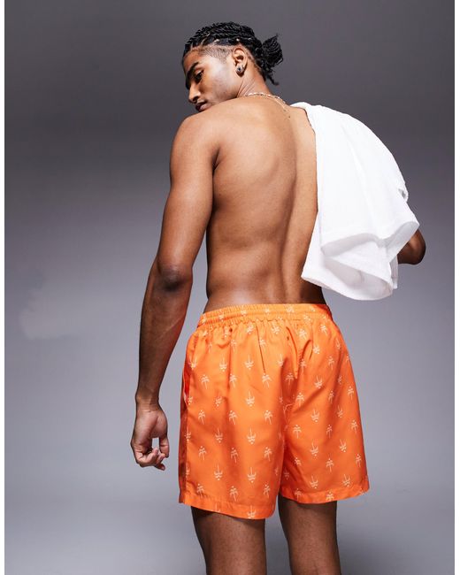South Beach Orange Palm Tree Print Swimshort for men