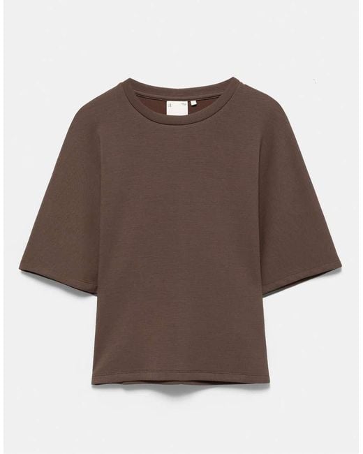 Pull&Bear Brown Modal Batwing Sleeve T-shirt