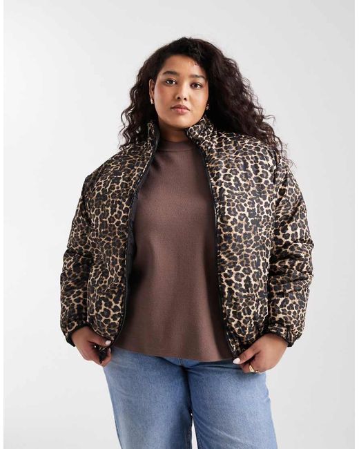 Brave Soul Black Reversible Short Puffer Jacket