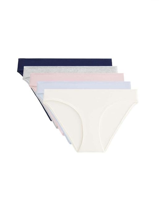 Oysho Blue 5 Cotton Blend Classic Briefs