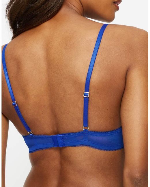 KBX Blue Alice Padded Plunge Bra