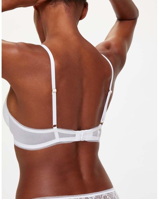 KBX Brown Alice Padded Plunge Bra