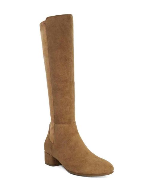 Dune Brown Tayla Knee High Boots