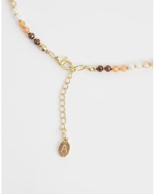 Accessorize Multicolor Round Beads Necklace