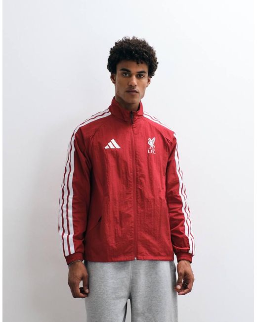 Adidas Originals Red Adidas Football Liverpool Home 26/27 Anthem Jacket for men