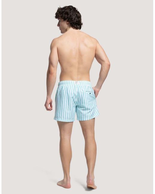Apreslife Blue Stripe Swim Shorts for men