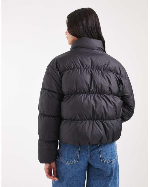 Adidas Originals Gray Short Padded Jacket