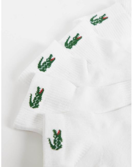 Lacoste Natural 6 Pack Croc Logo Long Sports Socks for men