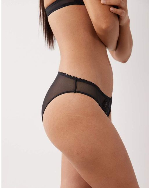 DORINA Brown Lincoln 2 Pack Brief