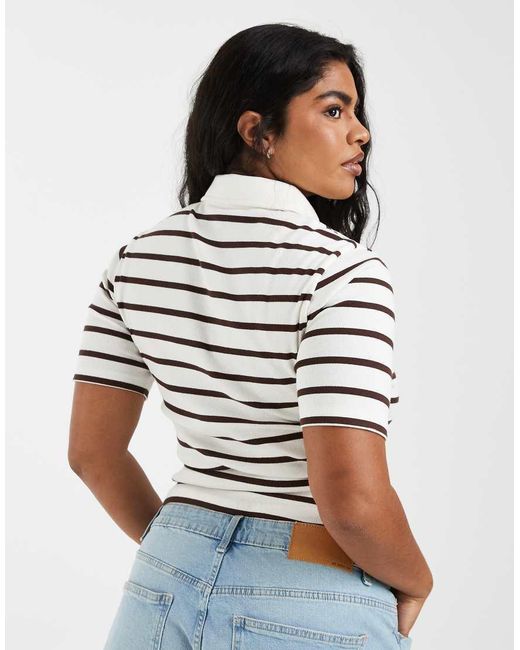 ASOS Multicolor Asos Design Curve Ribbed Shrunken Polo Top