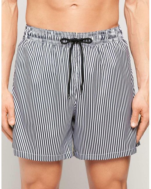 Tezenis Blue Printed Swimming Shorts for men