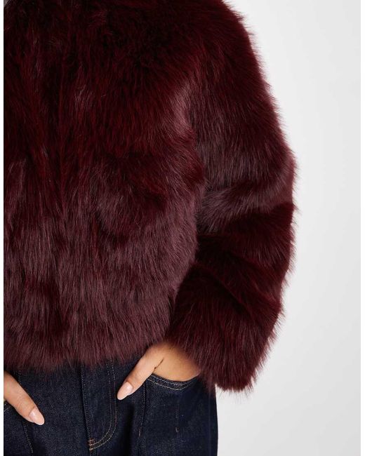 4th & Reckless Red Faux Fur Cropped Collarless Jacket