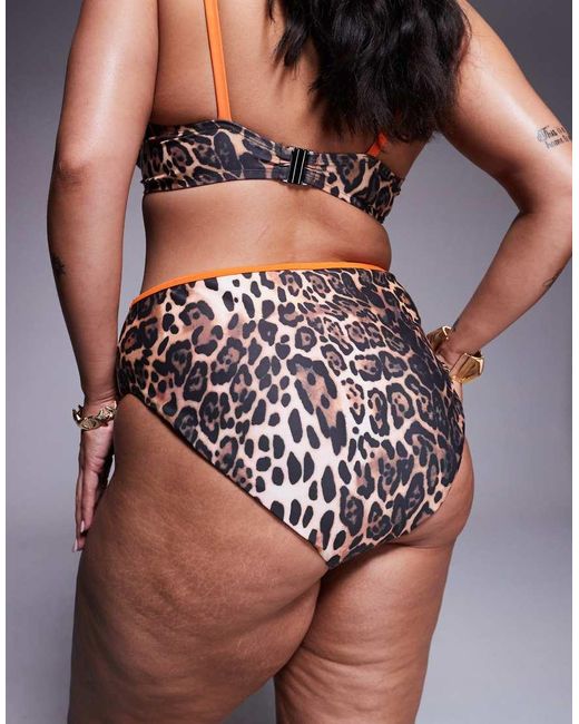 ASOS Multicolor Asos Design Curve Leo Contrast Binding Bikini Bottom