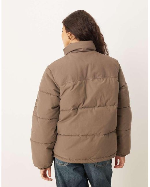 Piumino Con Isolamento Sintetico Color Goccia Di Cioccolato di Timberland in Brown