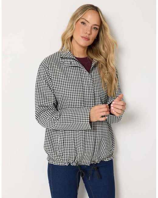 Long Tall Sally Gray Gingham Funnel Neck Jacket