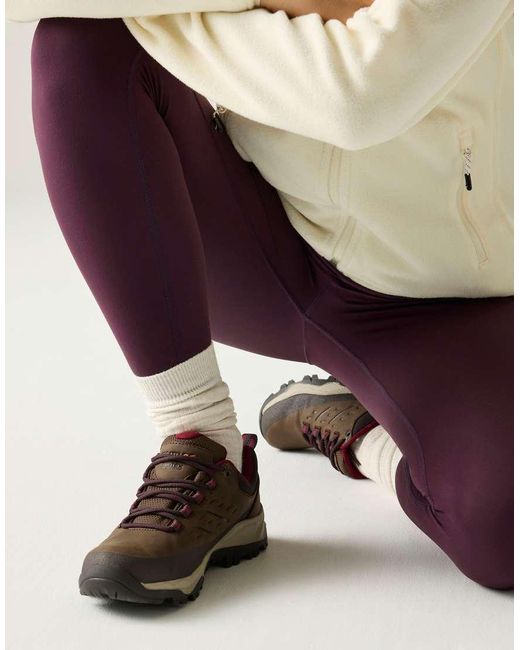 Regatta Purple Blake Low Waterproof Walking Shoes
