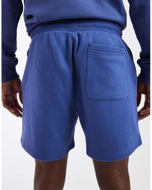 Tommy Hilfiger Blue Flag Logo Shorts for men