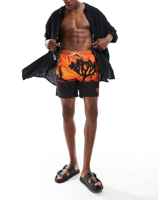 Superdry Orange Photographic 17-inch Swim Shorts for men