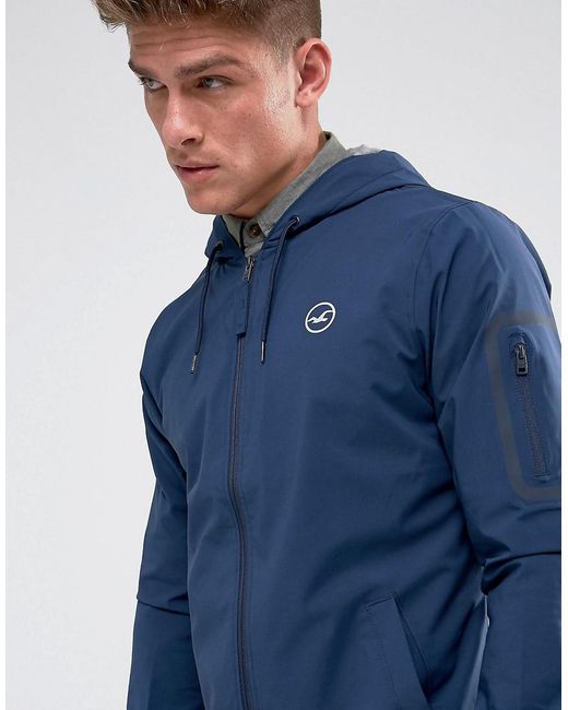 Hollister blue coat new arrivals