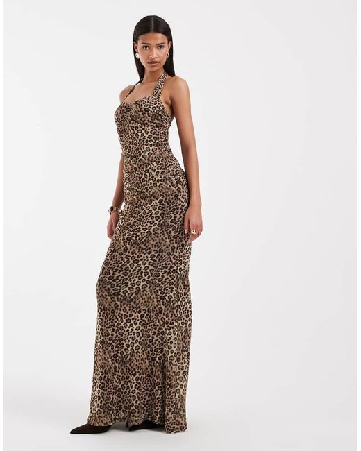 ASOS Brown Printed Leopard Mesh Dress With Sweetheart Halter Neckline