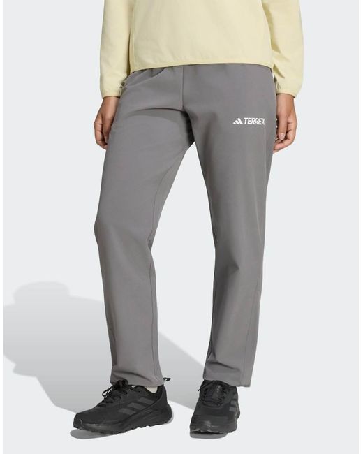 Adidas Originals Gray Terrex Multi Liteflex Pants