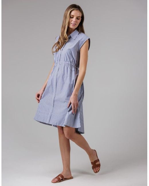 French Connection Blue Cotton Blend Striped Sleeveless Midi Collared Shirt Dress