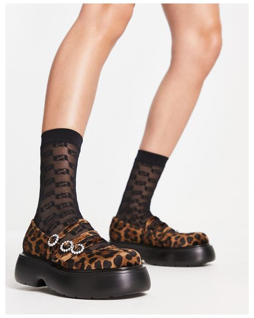 ASOS Missy Chunky Mary Jane Shoes With Diamante Buckles in Leopard (Black) Lyst Australia ASOS Missy Chunky Mary Jane Shoes With Diamante Buckles in Leopard (Black) Lyst Australia