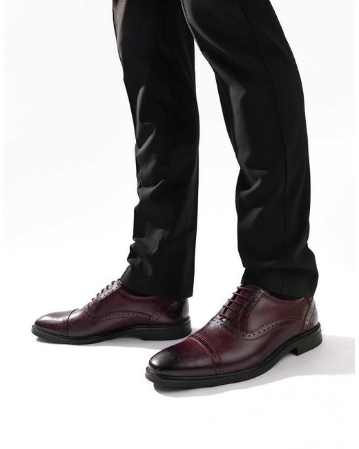 Base London Brown Ascot Toe Cap Oxford Shoe for men