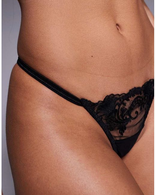 Bluebella Black Marseille Thong