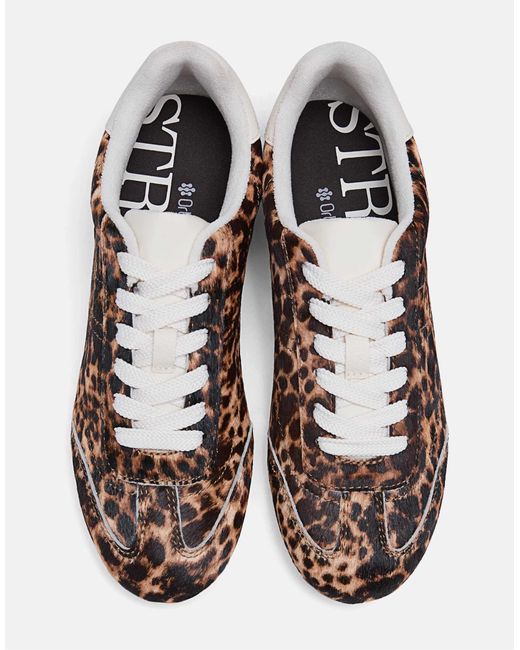 Stradivarius White – e leder-sneaker mit leopardenmuster