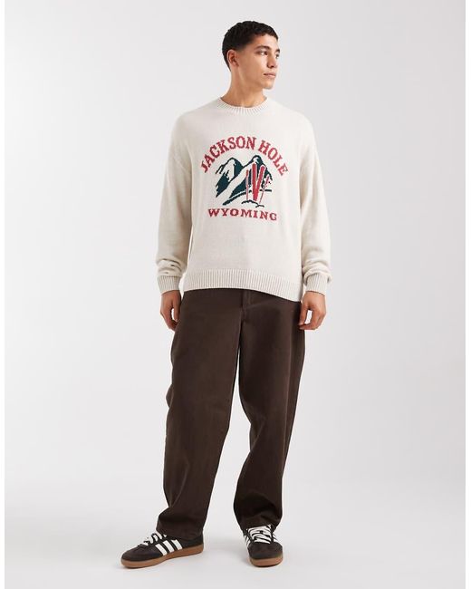 Hollister Natural Boxy Open Hem Ski Motif Jumper for men