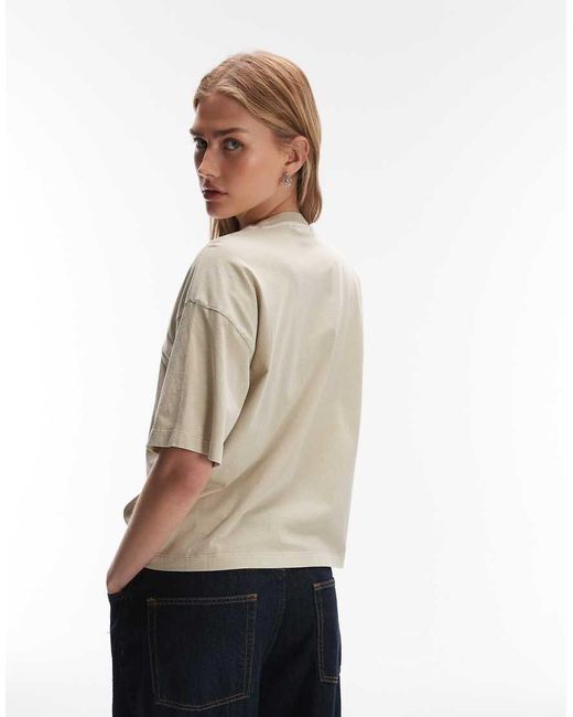 Carhartt Natural Nelson T-shirt