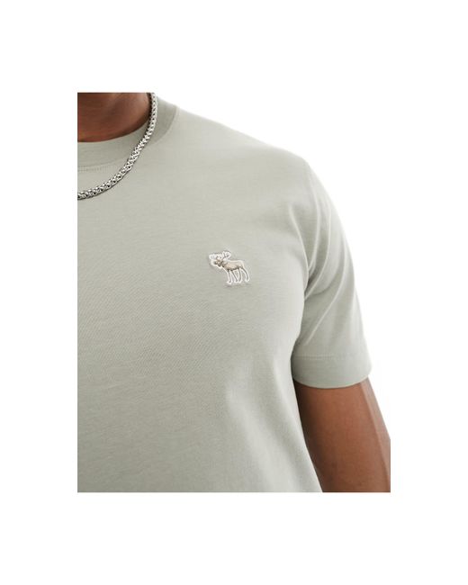 Abercrombie & Fitch Green Elevated Icon Logo T-shirt for men