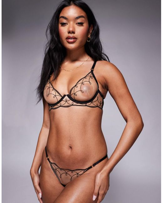 Marceline - culotte Bluebella en coloris Black