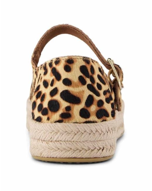 TOMS Brown Carolina Mary Jane
