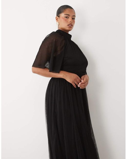 Lace & Beads Plus Black Tulle High Neck Flutter Sleeve Maxi Dress