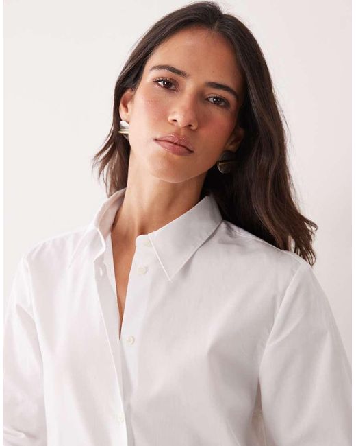 Mango Blue Classic Shirt