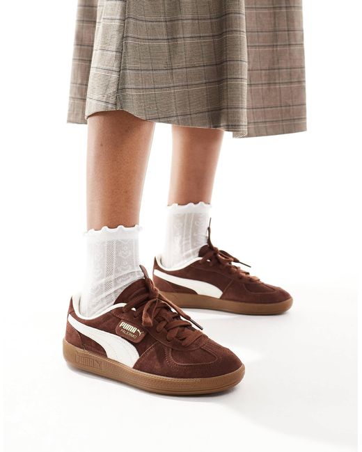 Palermo - baskets PUMA en coloris Brown